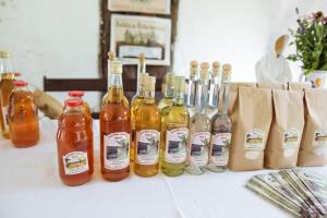 Eko kviz 1